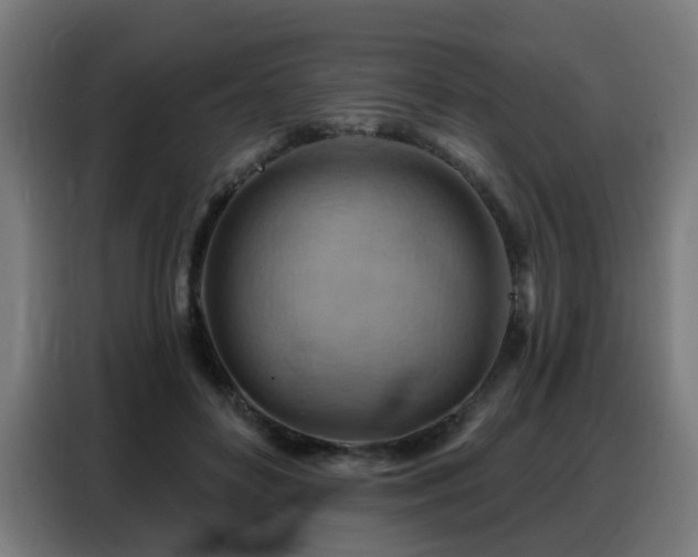 X0000088380504200705221056