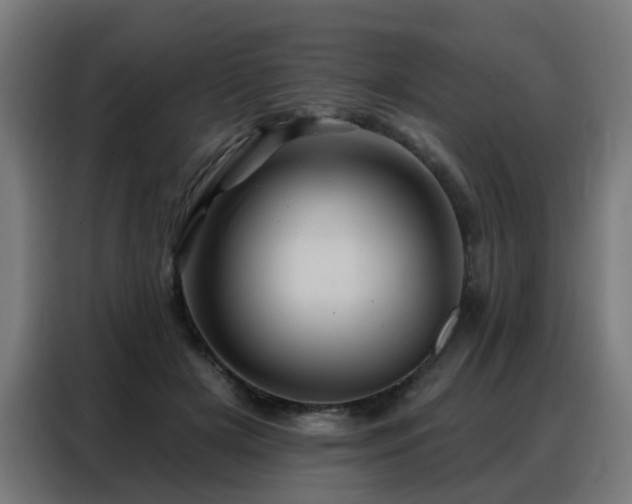 X0000088380505200705221056