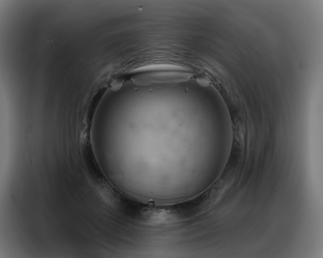 X0000088380507200705221056