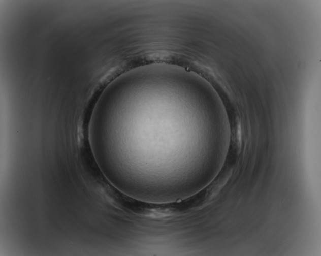 X0000088380508200705221056