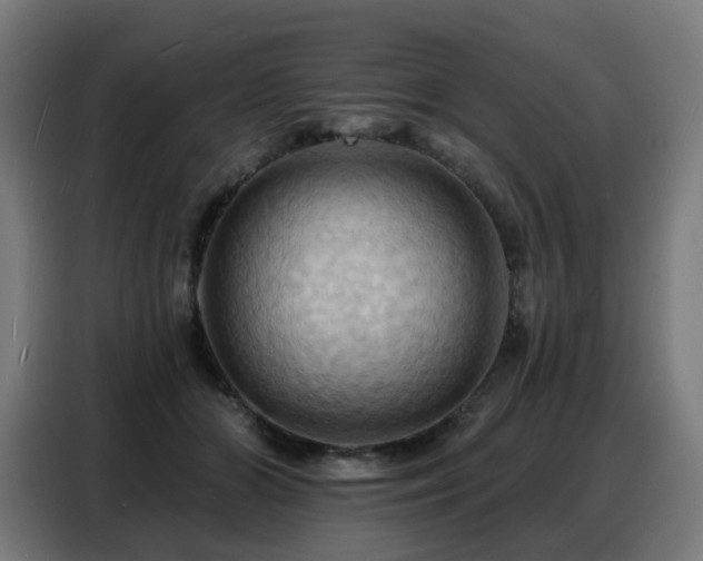 X0000088380510200705221056