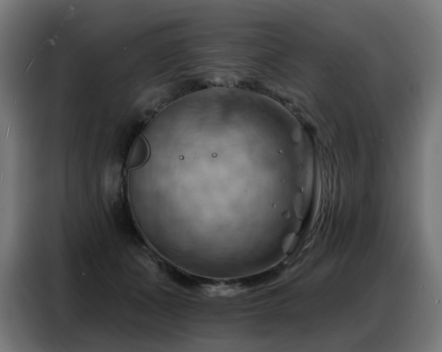 X0000088380511200705221056