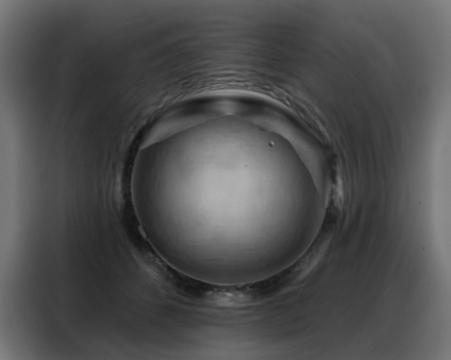 X0000088380512200705221056