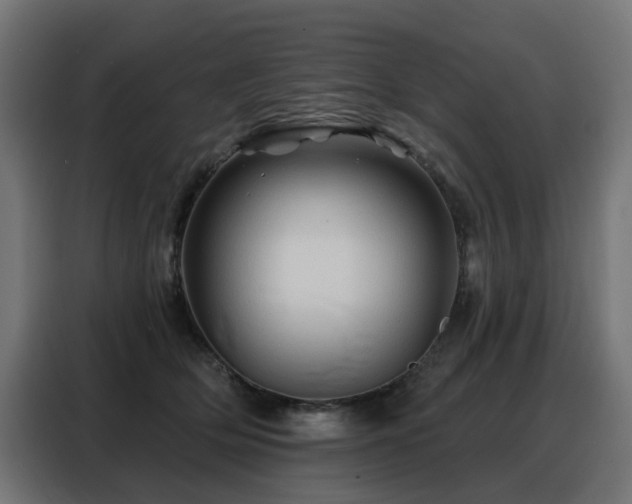 X0000088380514200705221056