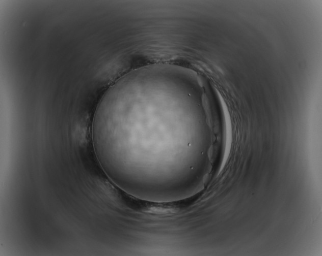 X0000088380515200705221056