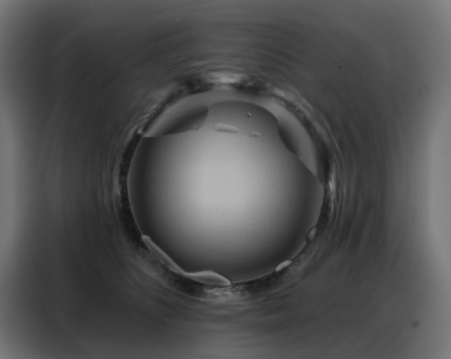 X0000088380516200705221056