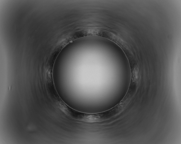 X0000088380522200705221056