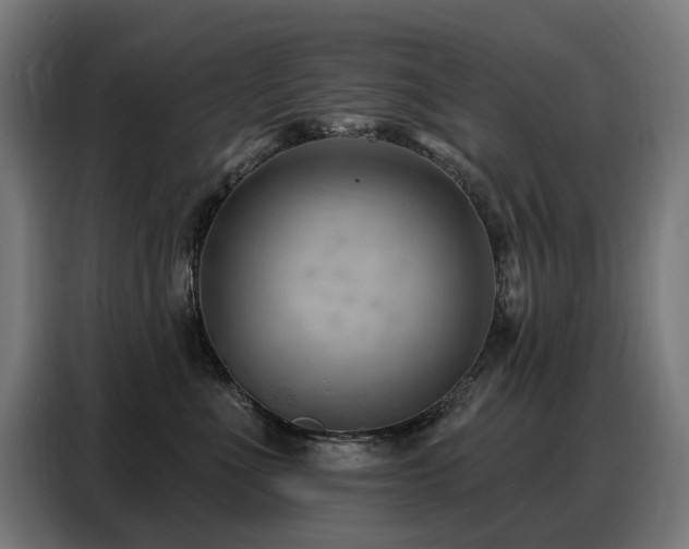 X0000088380523200705221056