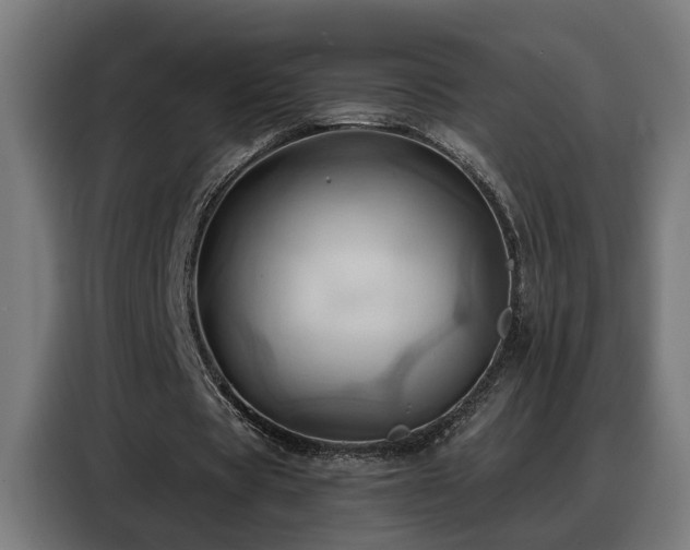 X0000088380529200705221055