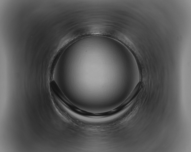 X0000088380530200705221055