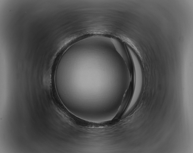 X0000088380531200705221055