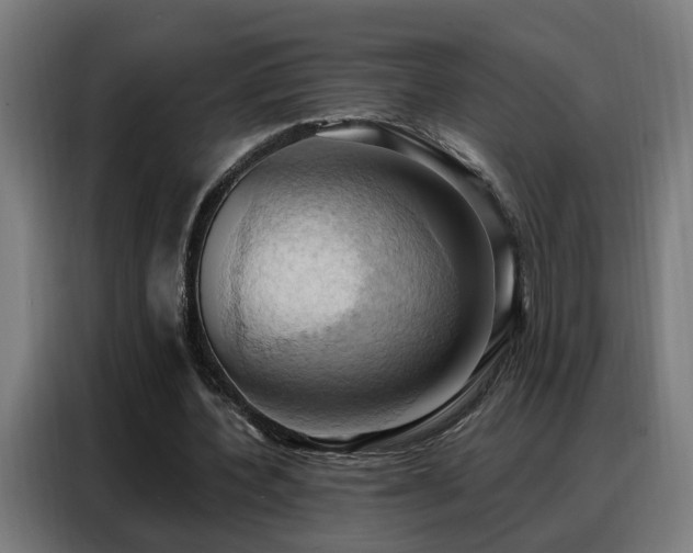 X0000088380532200705221055