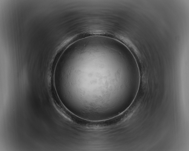 X0000088380533200705221055