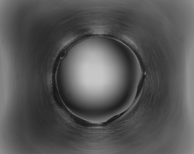 X0000088380535200705221055