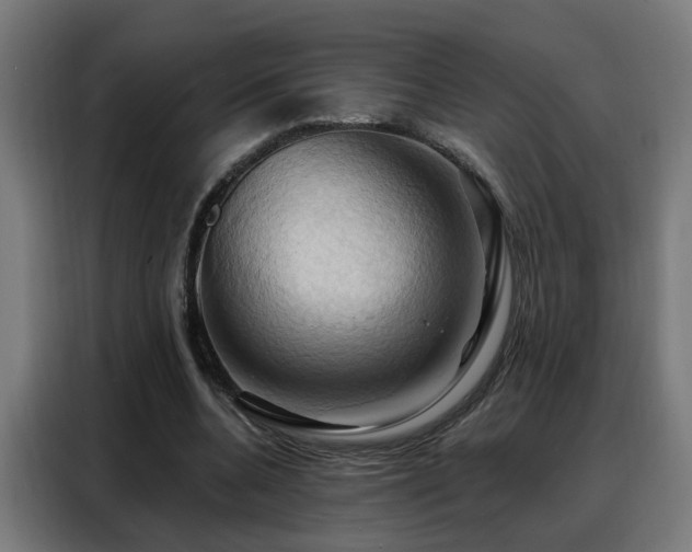 X0000088380536200705221055
