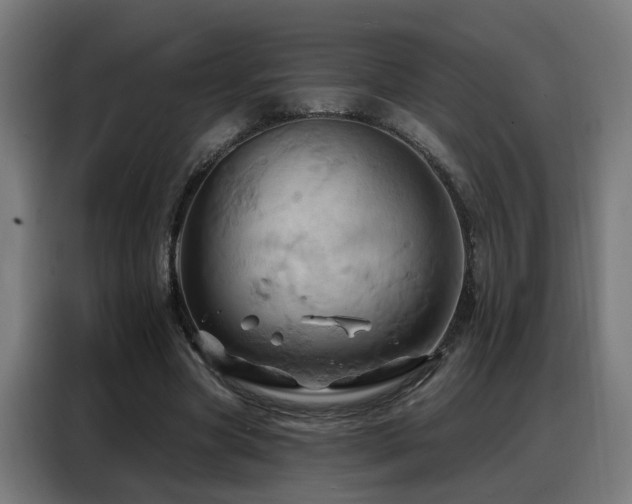 X0000088380537200705221055