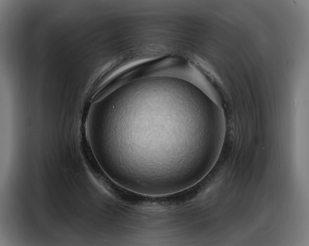X0000088380538200705221055