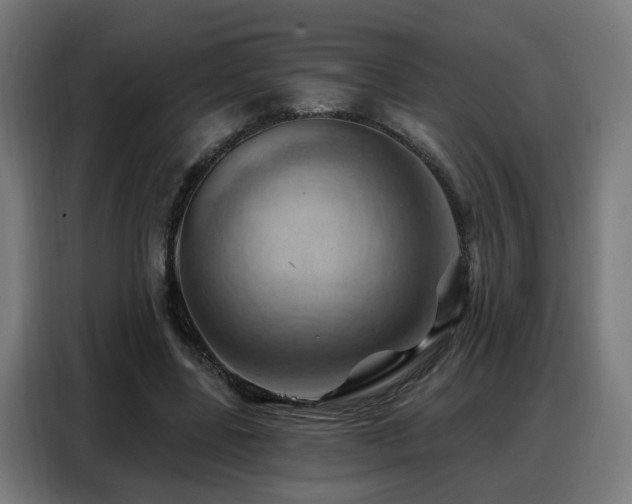 X0000088380539200705221055