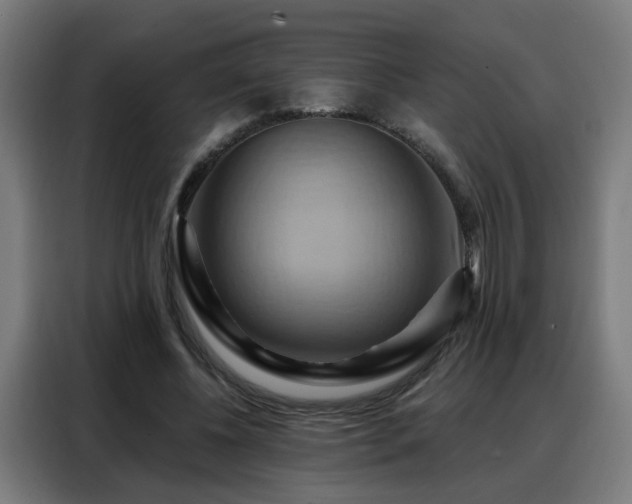 X0000088380540200705221055