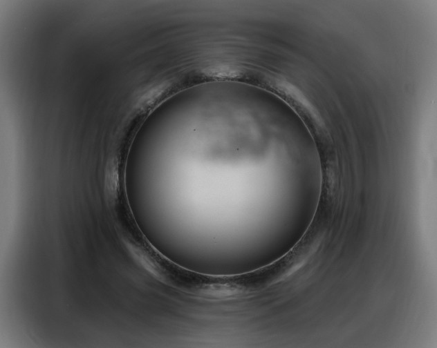 X0000088380541200705221055