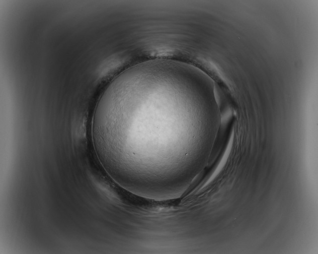 X0000088380543200705221055