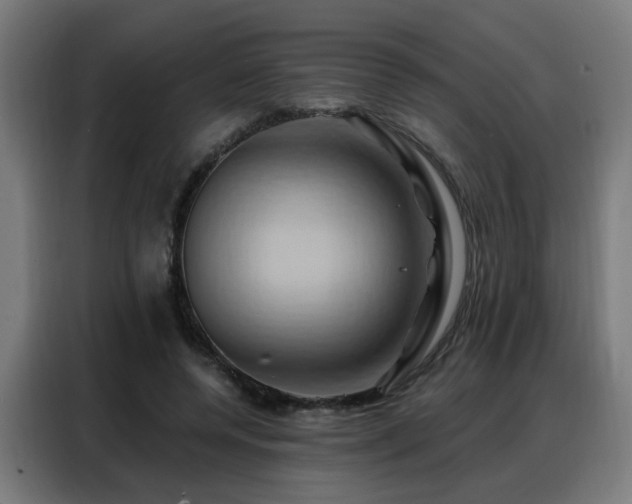 X0000088380544200705221055