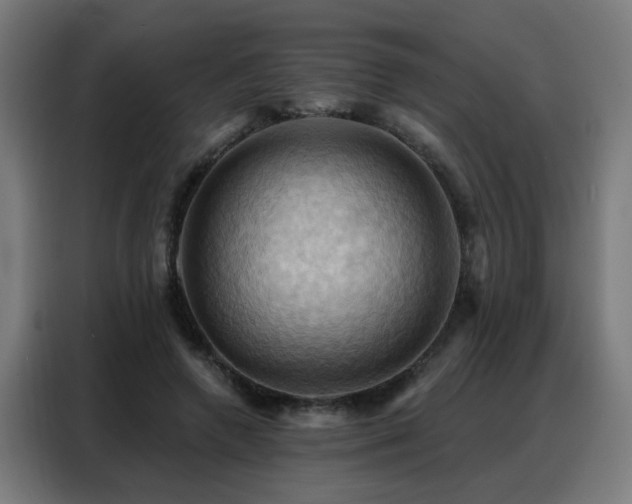 X0000088380546200705221055