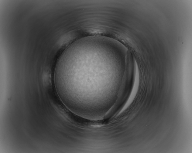 X0000088380547200705221055