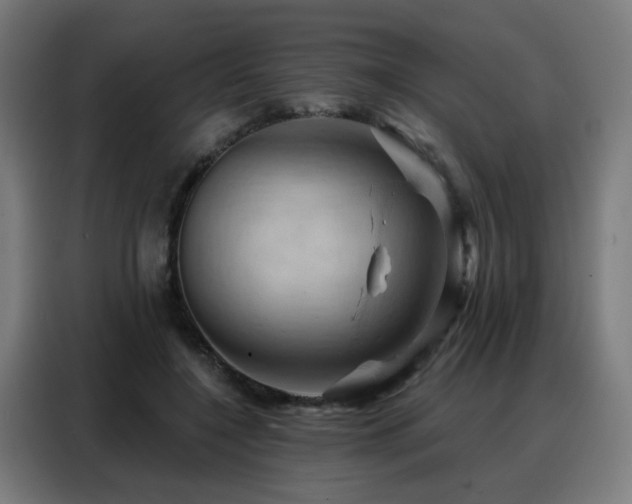 X0000088380548200705221055