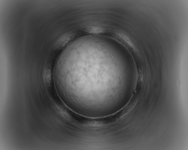 X0000088380549200705221055
