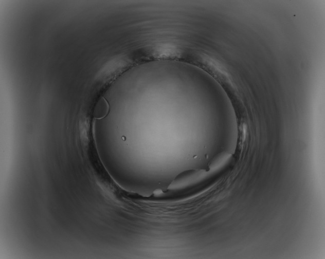 X0000088380550200705221055