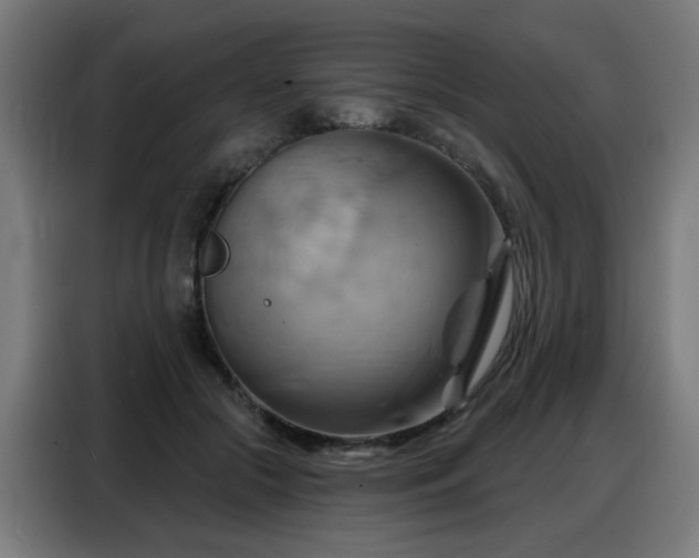 X0000088380553200705221056