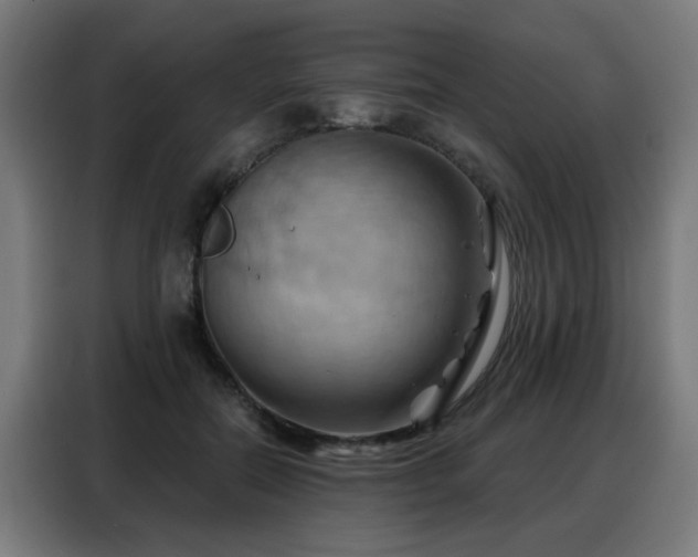 X0000088380554200705221056