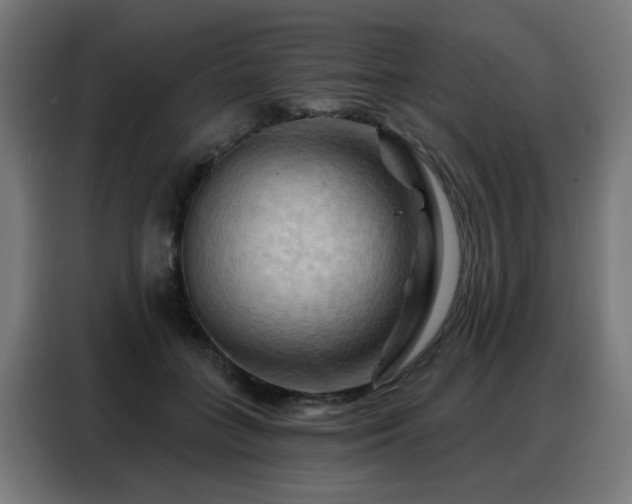 X0000088380555200705221056