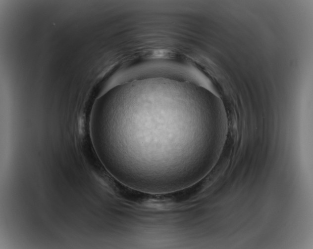 X0000088380556200705221056