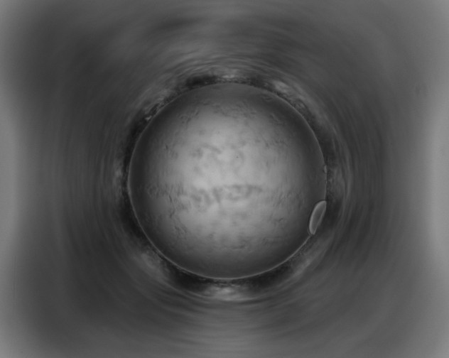X0000088380557200705221056