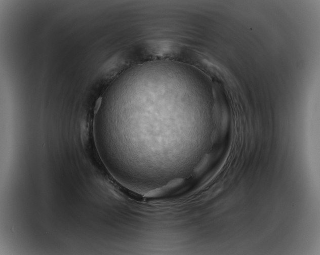 X0000088380558200705221056
