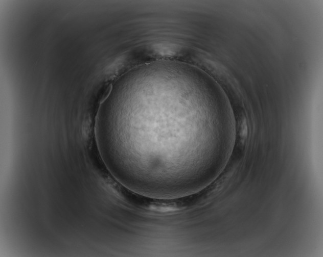 X0000088380559200705221056