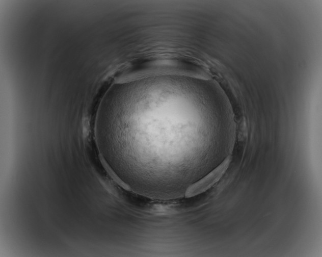 X0000088380560200705221056