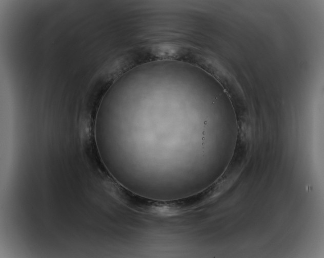 X0000088380561200705221056