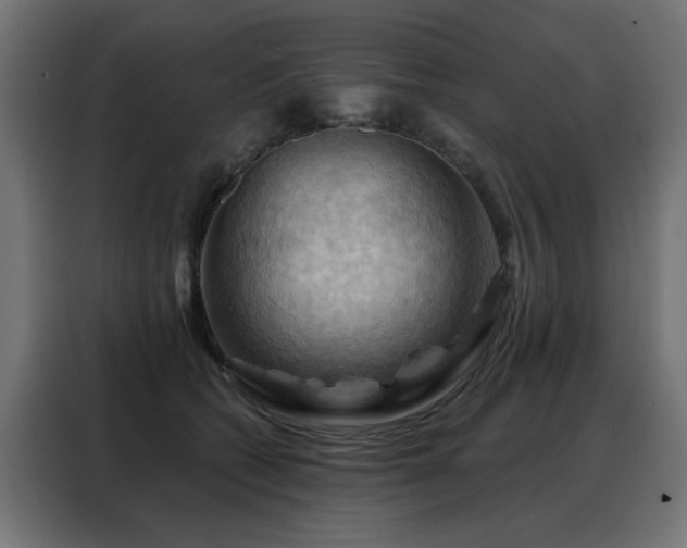 X0000088380562200705221056