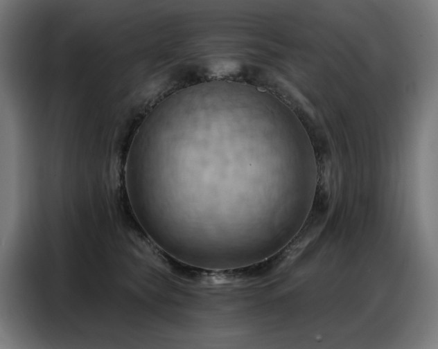 X0000088380565200705221056