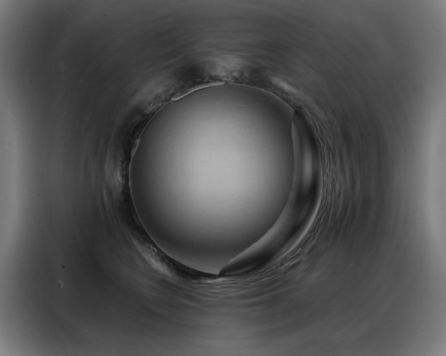 X0000088380566200705221056