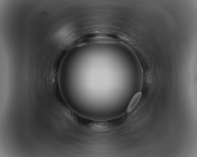 X0000088380567200705221056