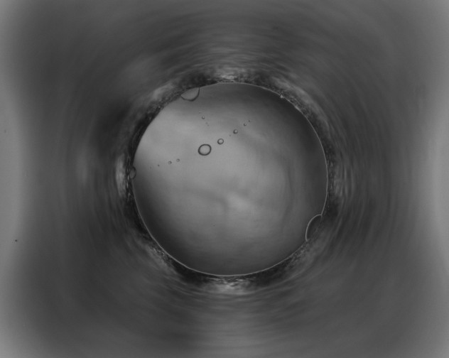X0000088380569200705221056