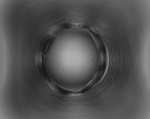 X0000088380570200705221056