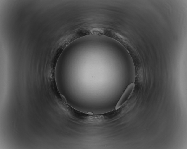 X0000088380571200705221056