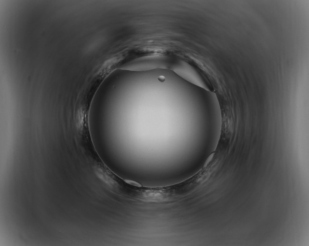 X0000088380574200705221056