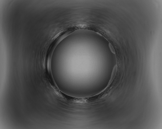 X0000088380576200705221056