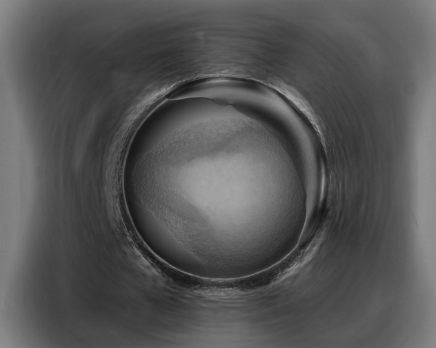 X0000088380577200705221055
